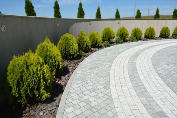 Best Residential Driveway Paver Services  in USA